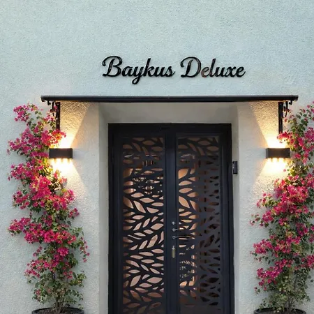 Baykus Deluxe Vila *